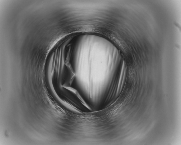 X0000096160532200802081436