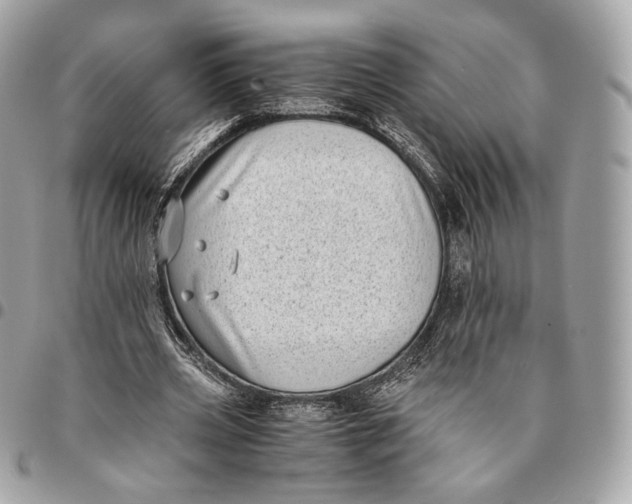 X0000096160533200802081436