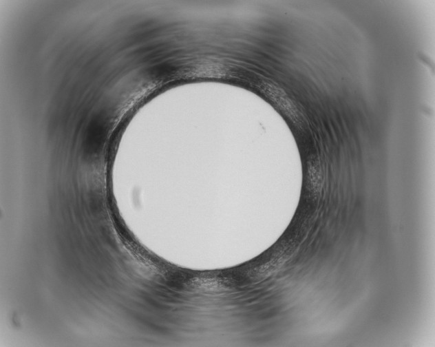 X0000096160534200802081436