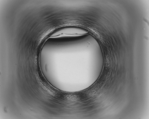 X0000096160535200802081436