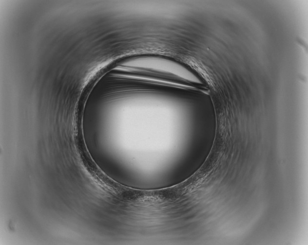 X0000096160536200802081436