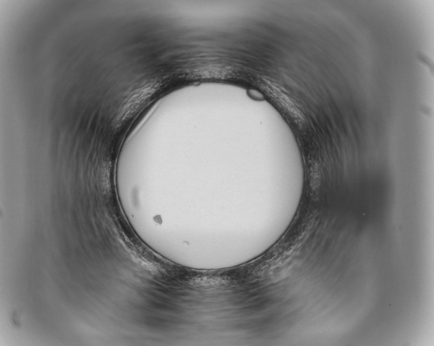 X0000096160537200802081436