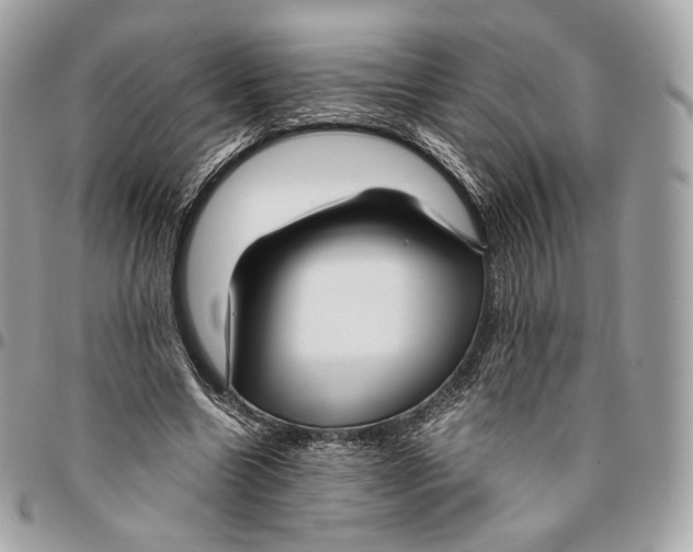 X0000096160538200802081436