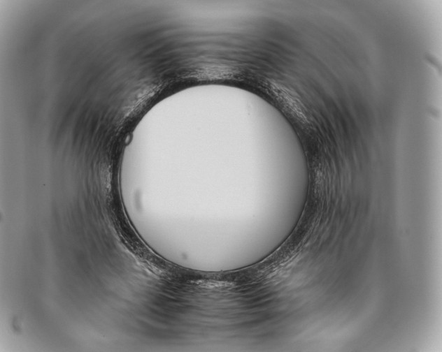 X0000096160539200802081436