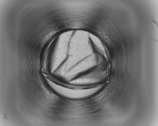 X0000096160540200802081436