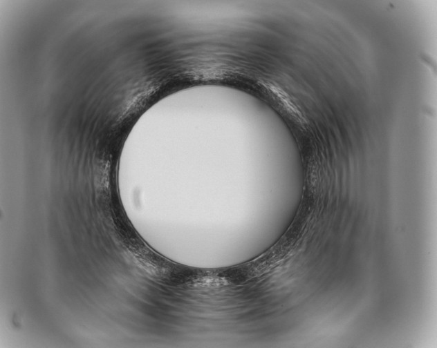 X0000096160543200802081436