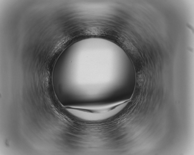 X0000096160544200802081436