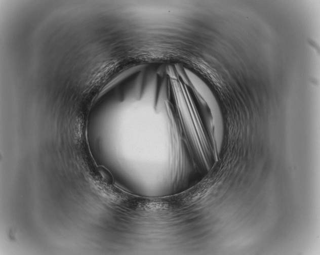 X0000096160546200802081436