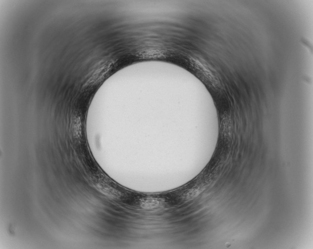 X0000096160549200802081436