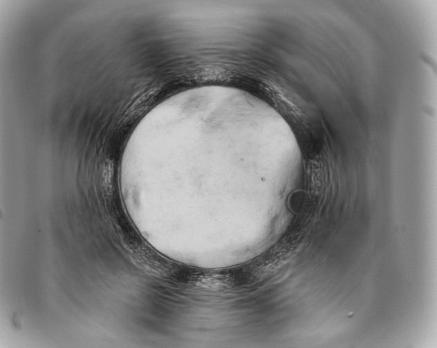 X0000096160550200802081436