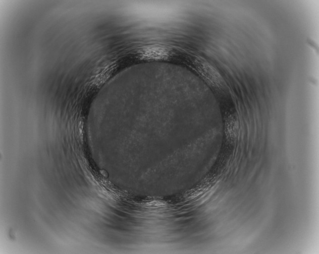 X0000096160551200802081436