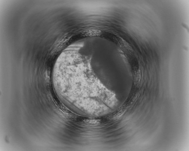 X0000096160553200802081436