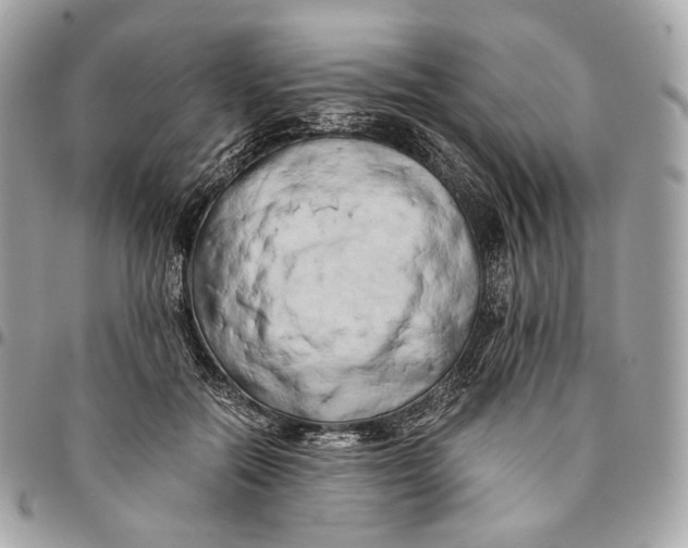 X0000096160554200802081436