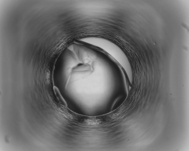 X0000096160556200802081436