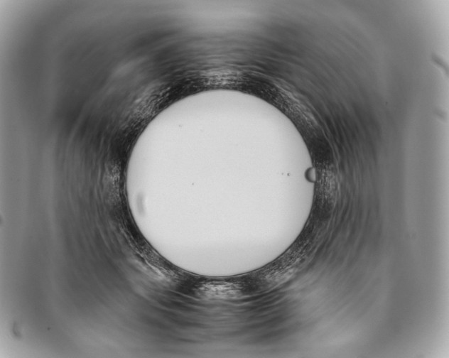 X0000096160557200802081436