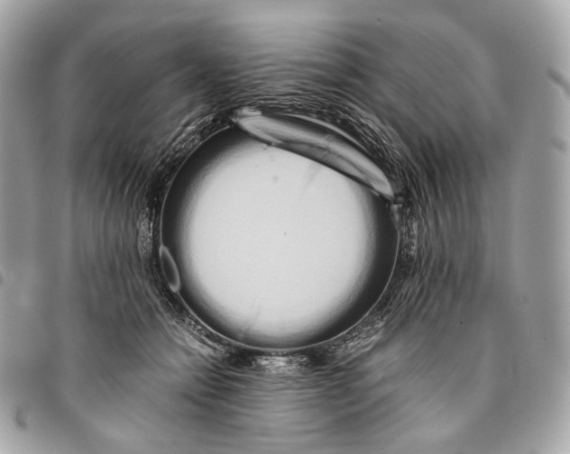 X0000096160558200802081436