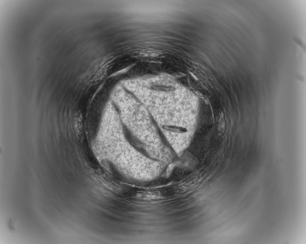 X0000096160559200802081436