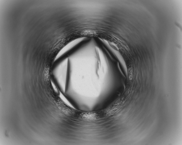 X0000096160560200802081436