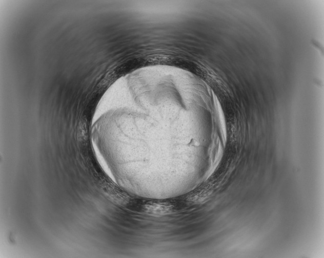 X0000096160561200802081436