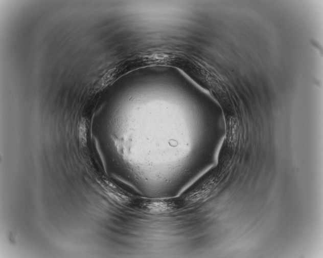 X0000096160562200802081436