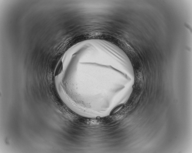 X0000096160565200802081436