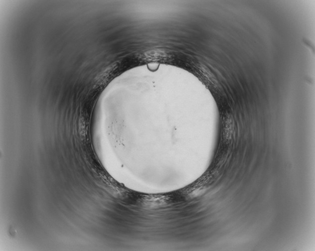 X0000096160569200802081437