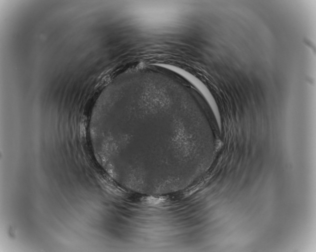 X0000096160570200802081437