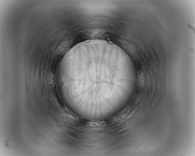 X0000096160571200802081437