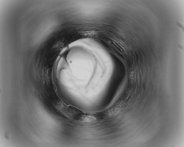 X0000096160572200802081437