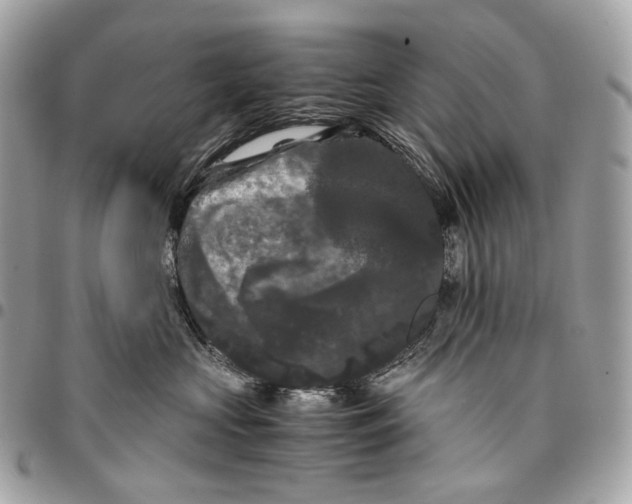 X0000096160573200802081437