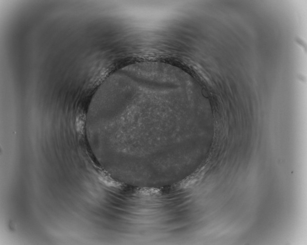 X0000096160576200802081437