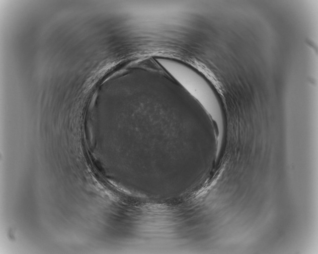 X0000096160577200802081436