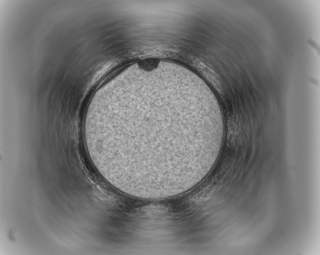 X0000096160578200802081436