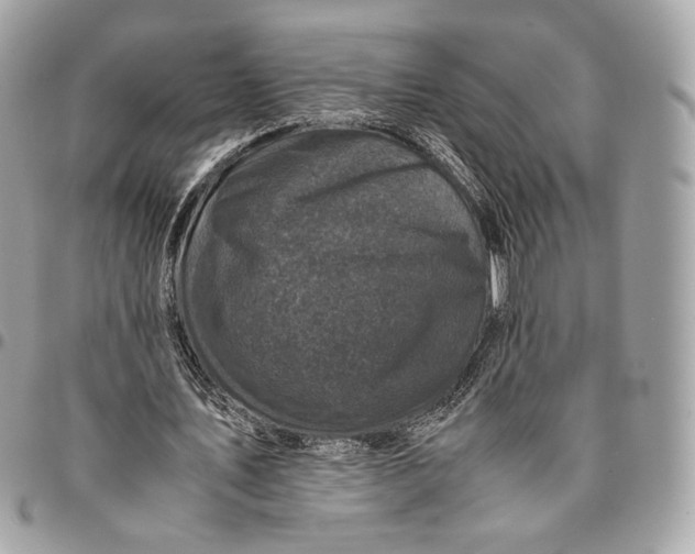 X0000096160579200802081436