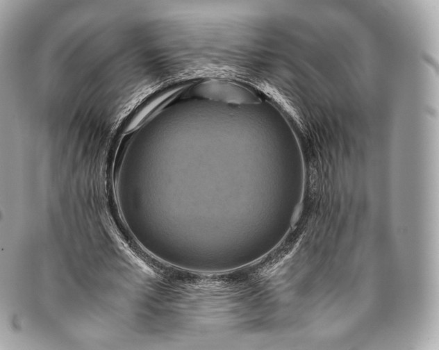 X0000096160581200802081436