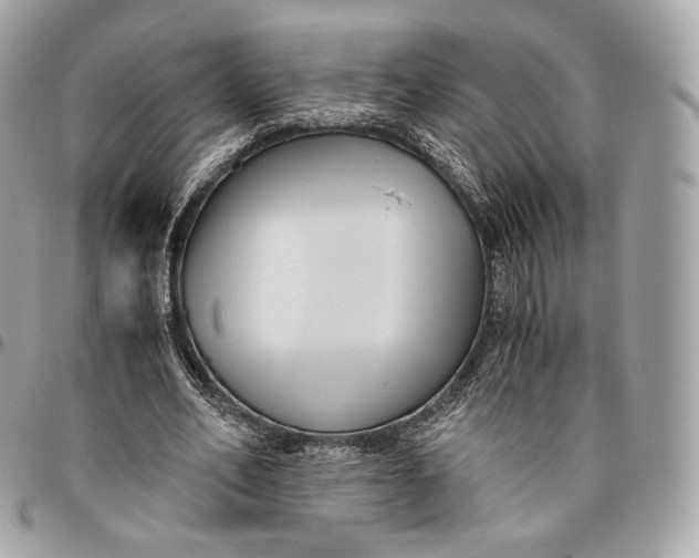 X0000096160582200802081436