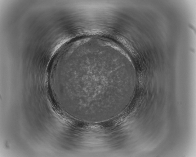 X0000096160583200802081436