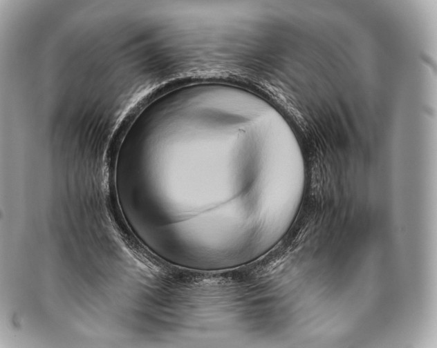 X0000096160584200802081436