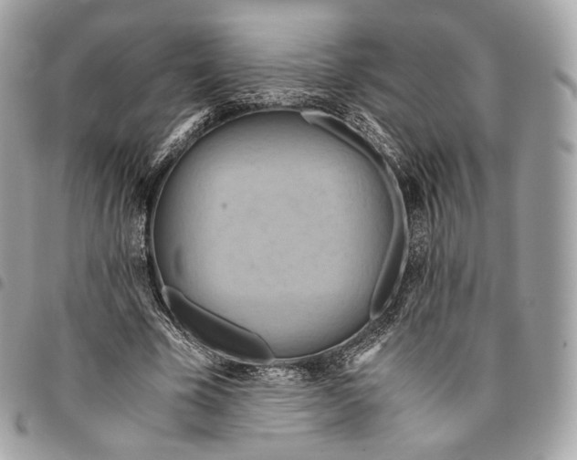 X0000096160585200802081436