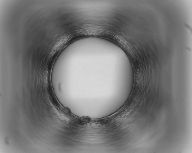 X0000096160586200802081436