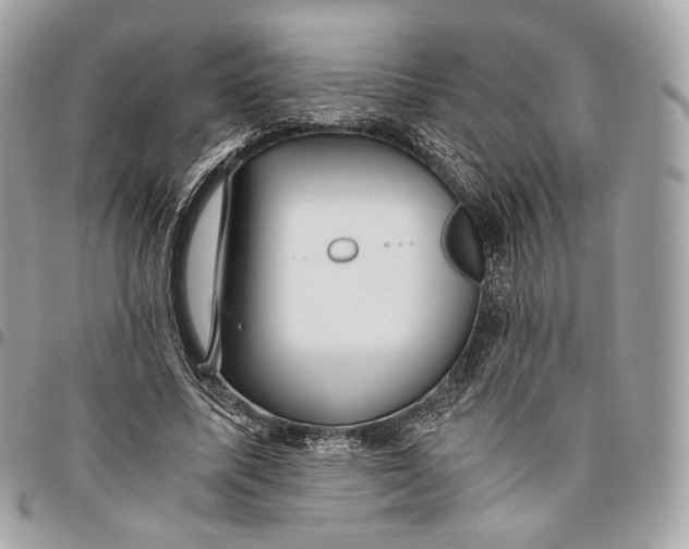 X0000096160587200802081436