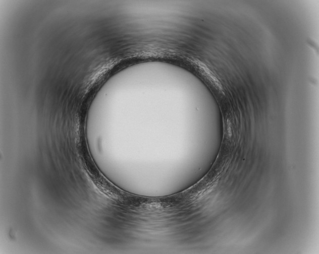 X0000096160588200802081436