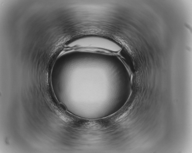 X0000096160589200802081436