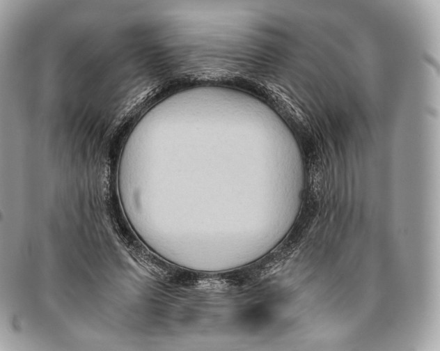 X0000096160591200802081436