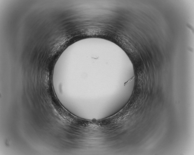 X0000096160592200802081436