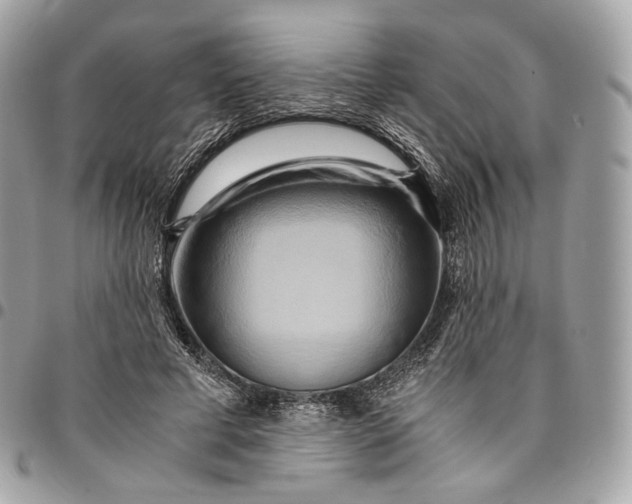 X0000096160593200802081436