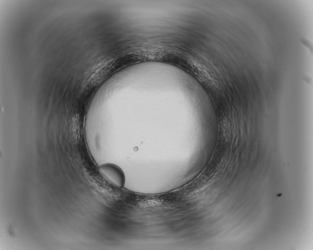 X0000096160594200802081436