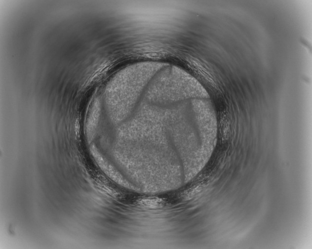 X0000096160595200802081436