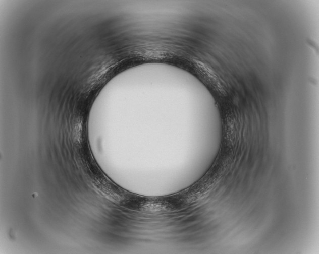 X0000096160596200802081436