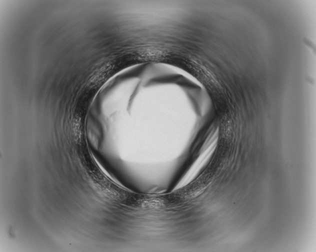 X0000096160599200802081435